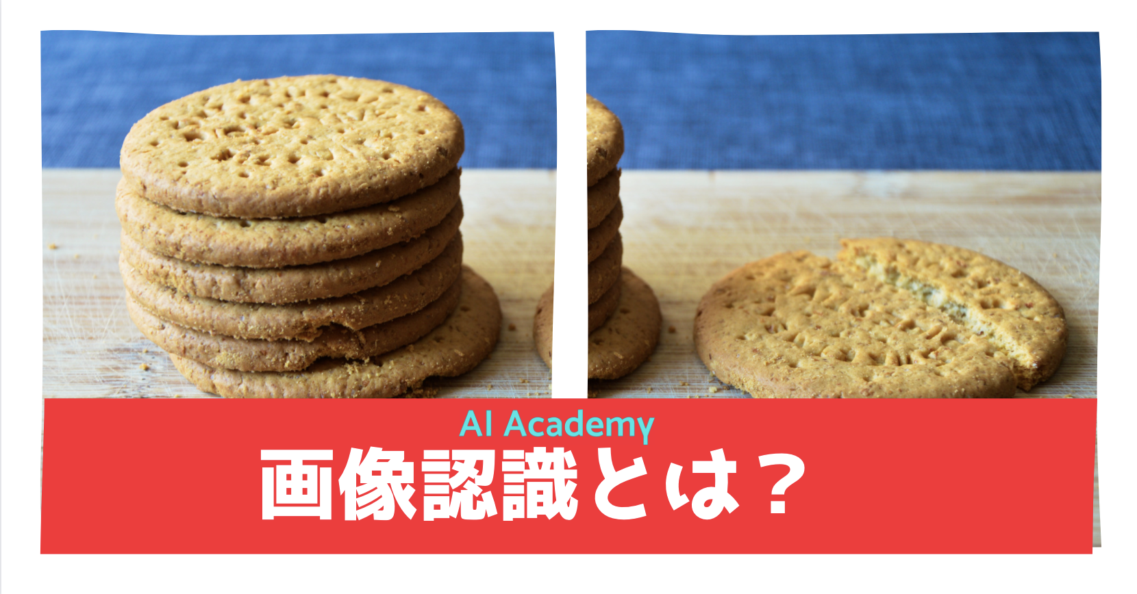 画像認識 Image Recognition とは 初心者向けにわかりやすく解説 Ai Academy Media