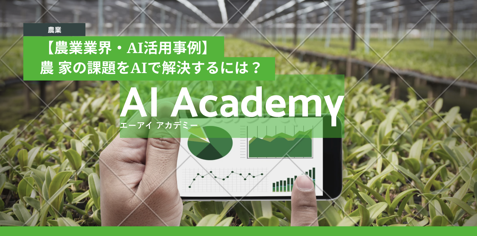 農業業界 Ai活用事例 農業 Ai 活用事例を紹介 Ai Academy Media